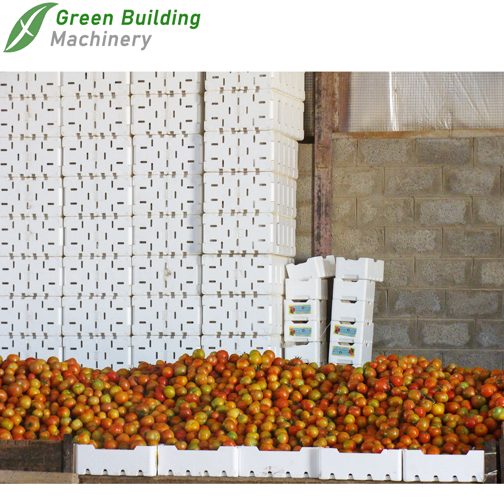 EPS Fruit And Vegetable Packaging Box